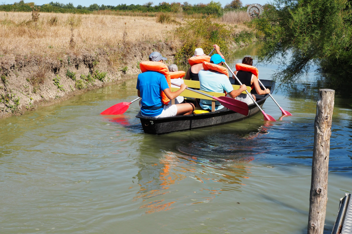 La barque tradtionnelle, activité nautique majeur pour découvrir le Marais Poitevin