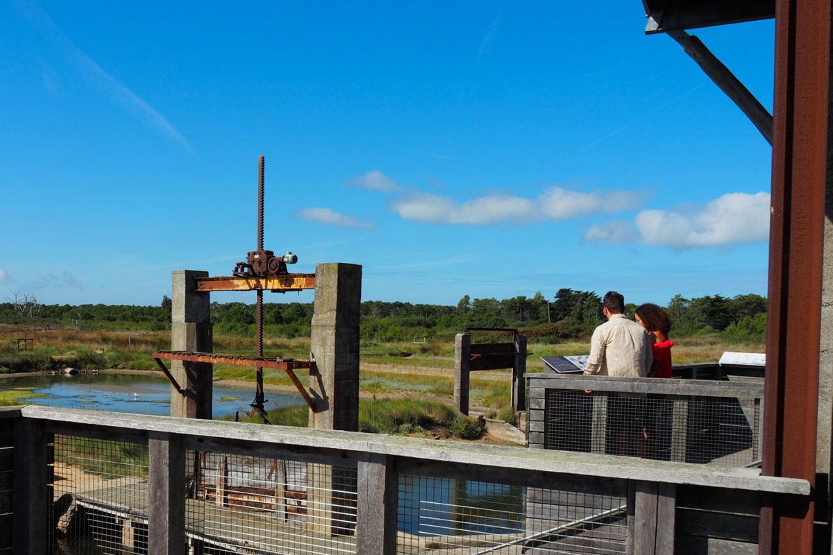 Belvédère sur une écluse de l'ancien parc ostréicole de la Rade d'Amour à La Faute-sur-Mer