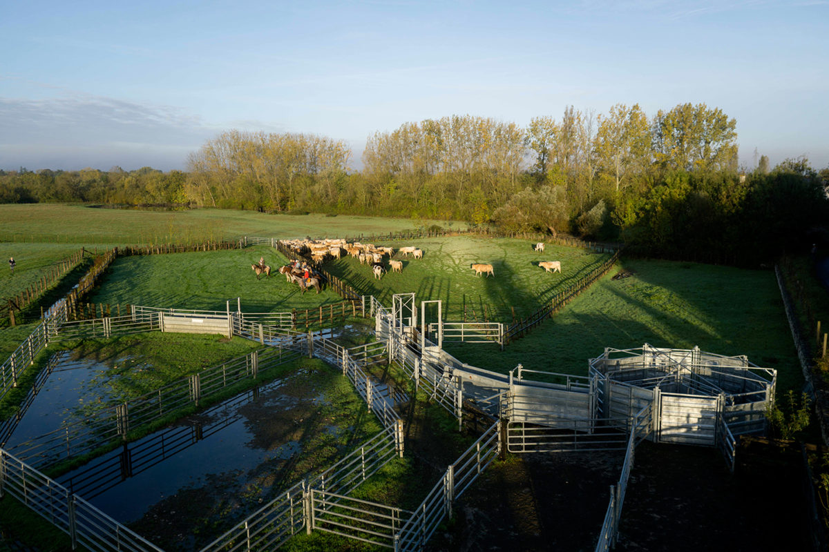 Les cowboys du Communal de Lairoux