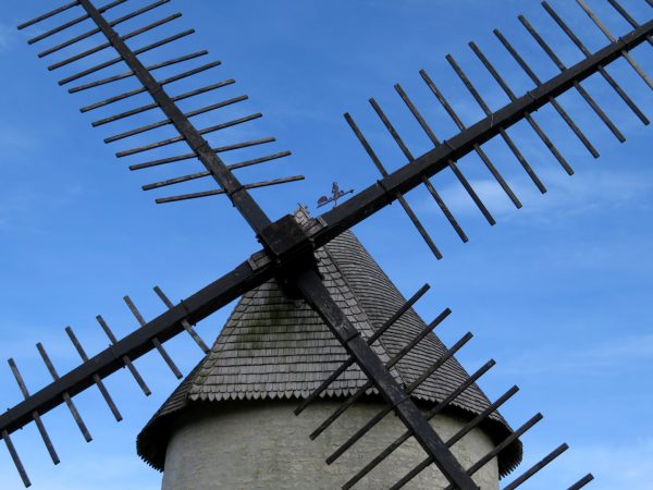 Discover our heritage from a new perspective