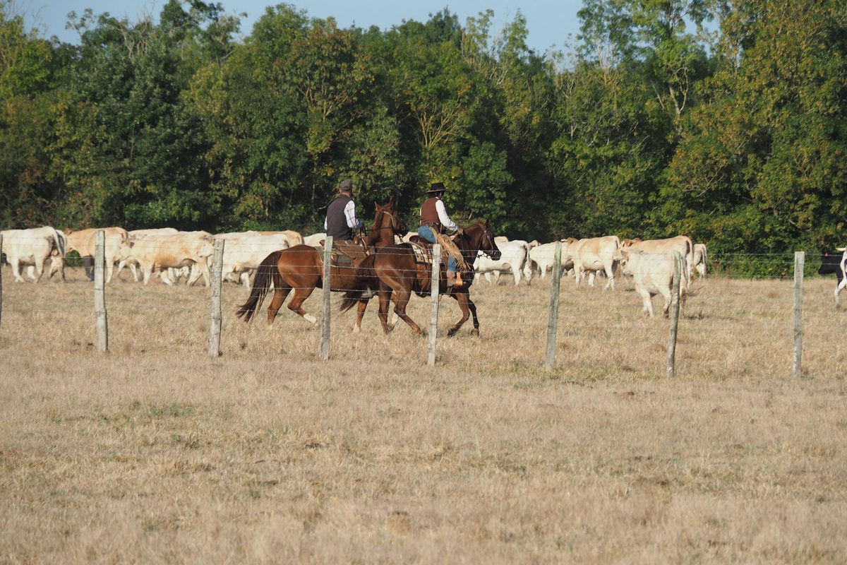 Communal-lairoux-22-1200x800