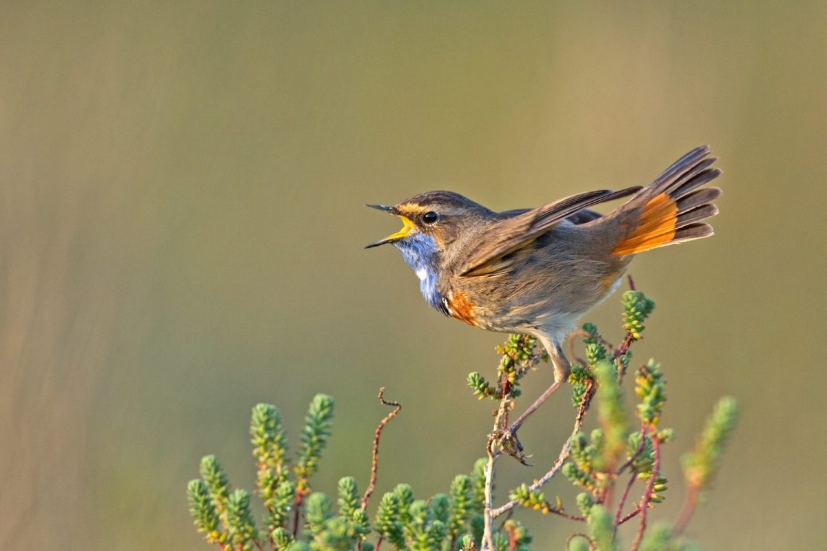 194ec501-56be-4a46-b504-9f265077c812