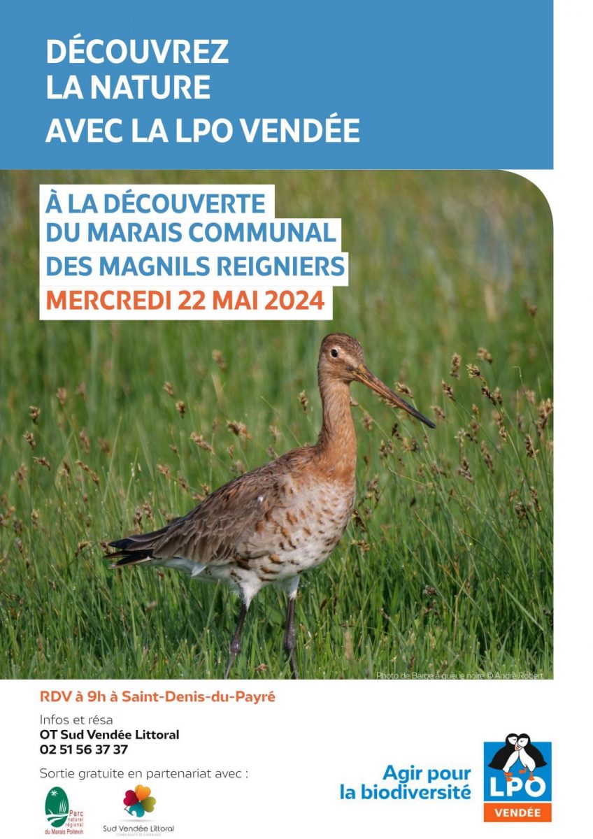 2024_affiches_event_LPO85_Terres_d_oiseaux_semestre1_17