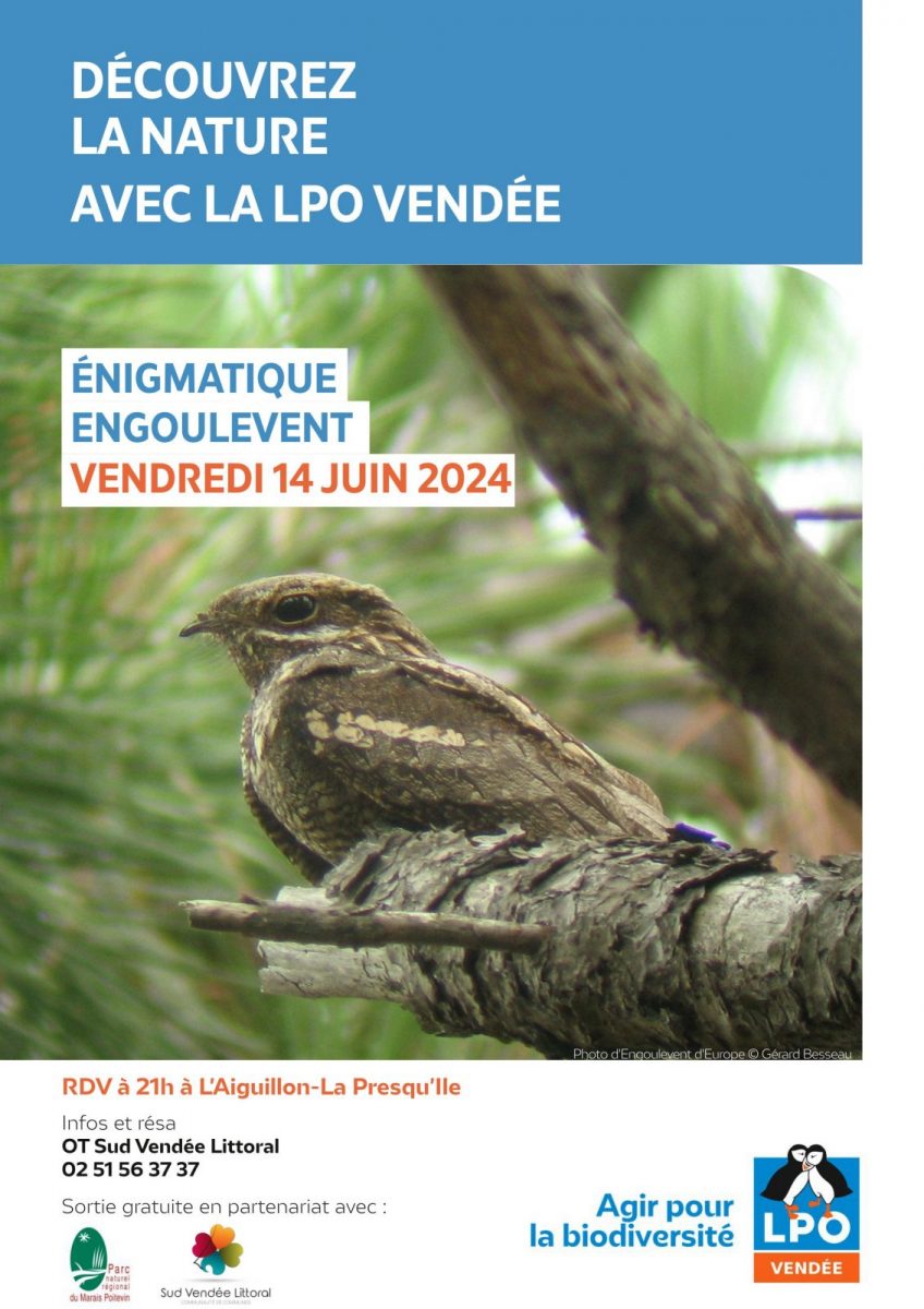 2024_affiches_event_LPO85_Terres_d_oiseaux_semestre1_19