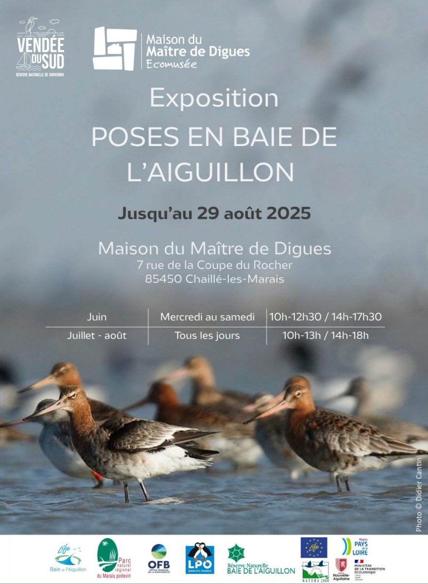 2025_Affiche_expo_maison-maitre-digues 2_page-0001