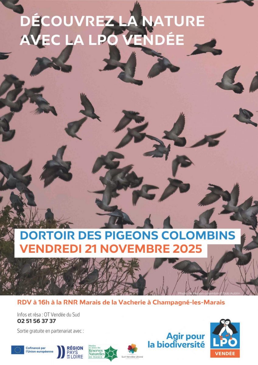 2025_affiches_event_LPO85_Terres_d_oiseaux_44