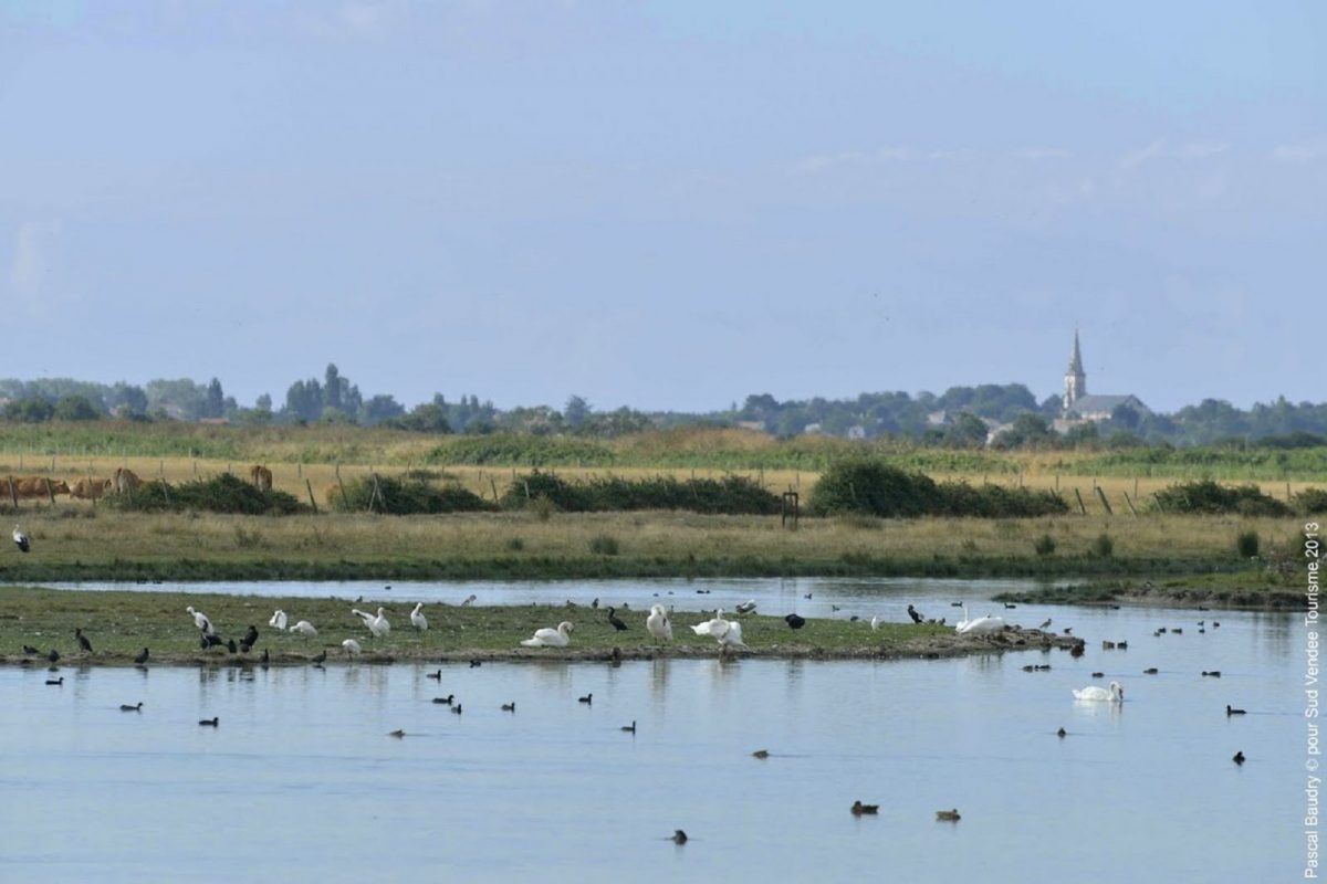 3067713d-0257-45eb-b051-5114a0df8259