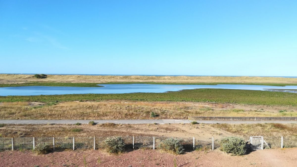 37–2–ce5833e367854be29ee3affd7136cba4