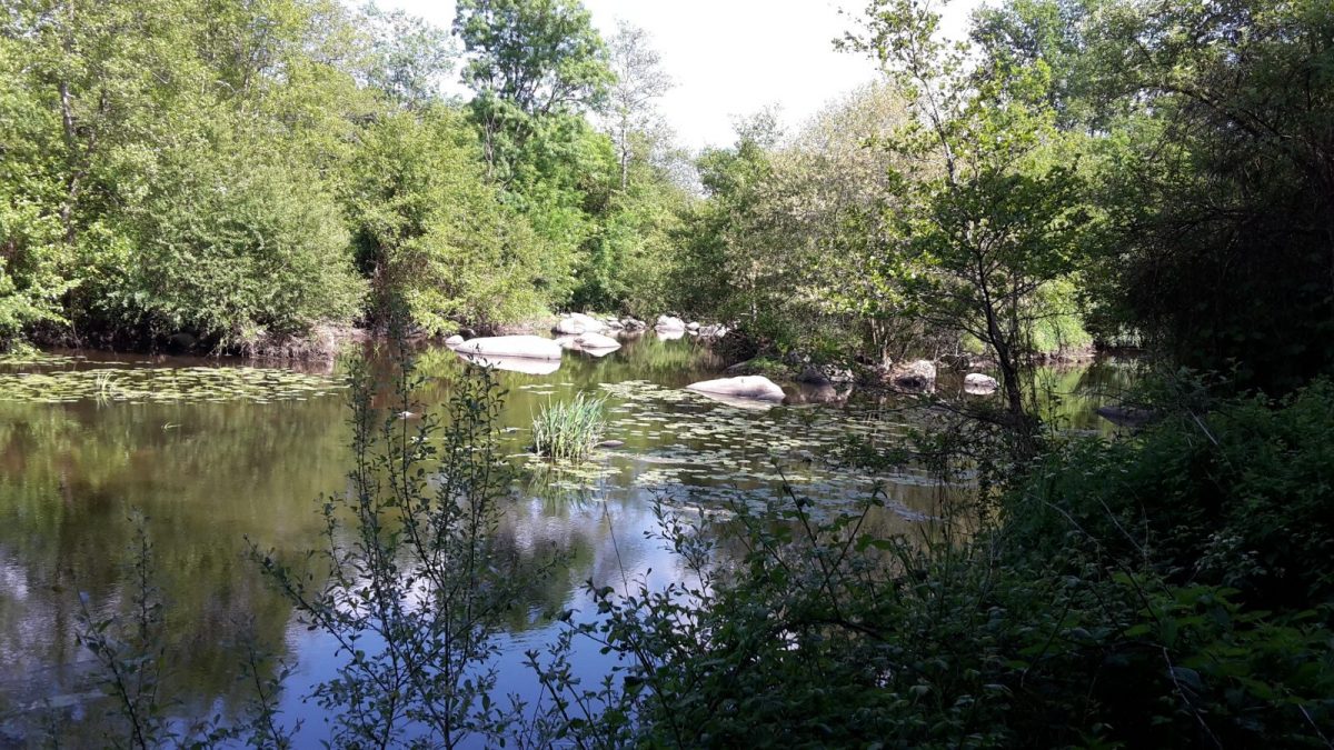 42d7b00a-ed66-4dc3-9c8c-87e0e80239d7