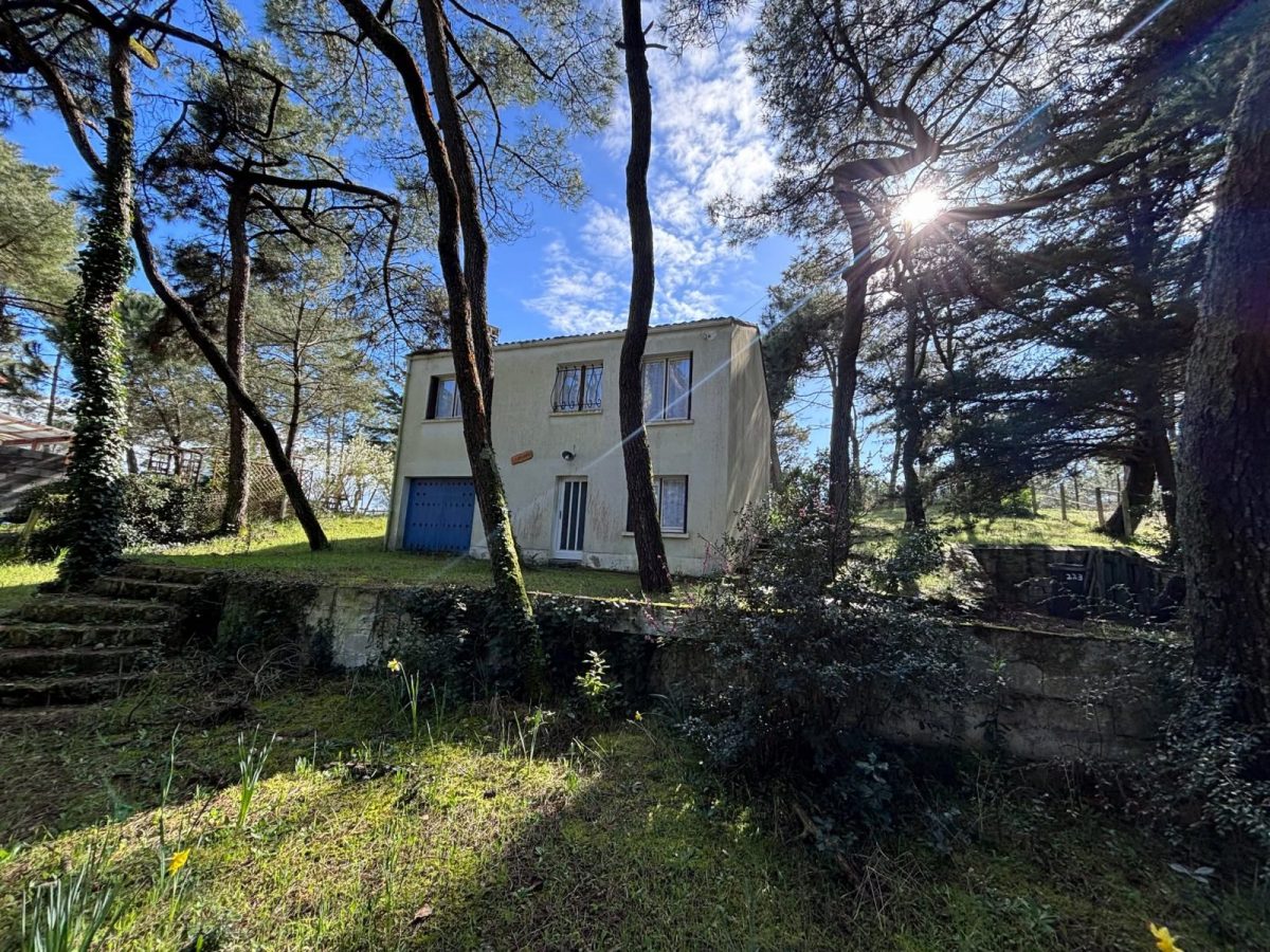 484441718-1219990229549418-6441717778476901110-n-b6ec408045294645aaaad8db538e7b75