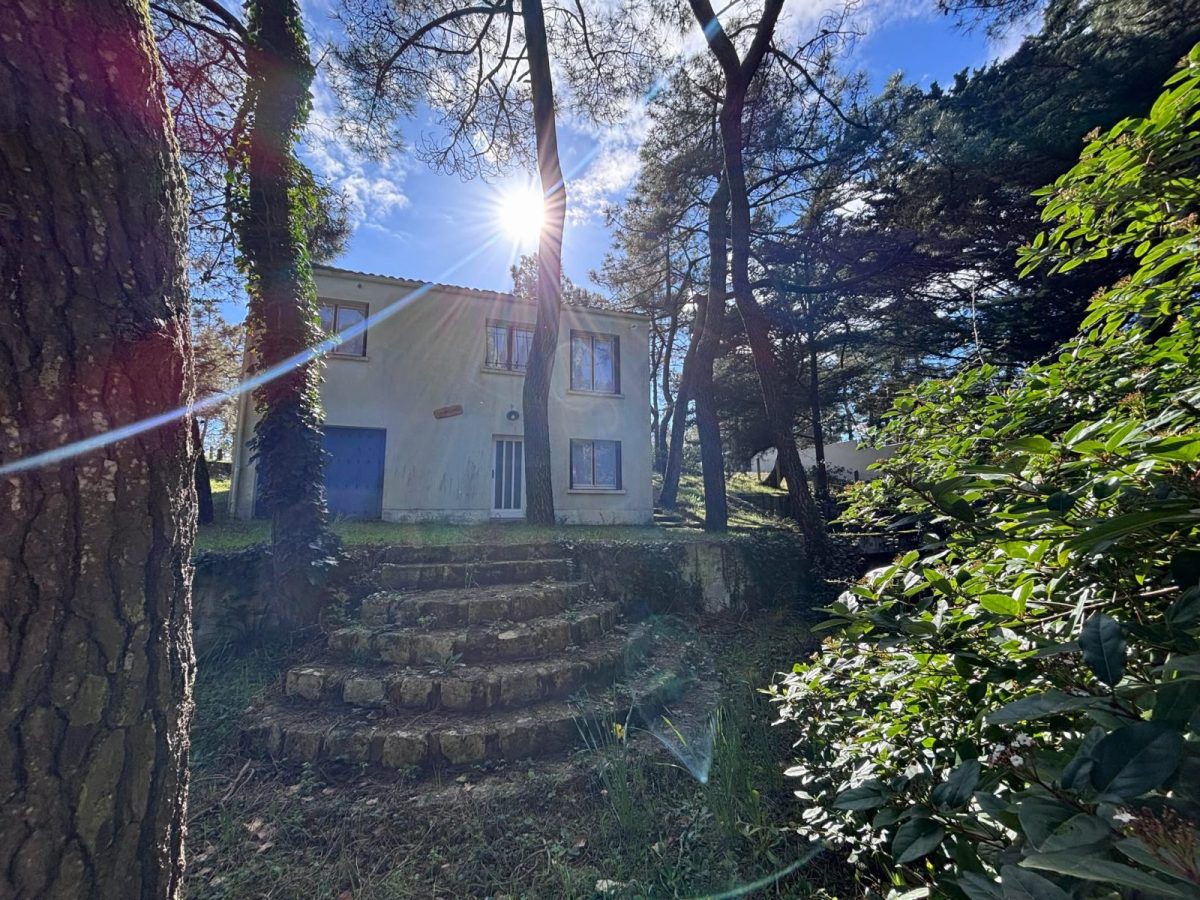 484979990-541045409025050-9208139410594659327-n-a60416e3d59d494c977b47c0fc740044