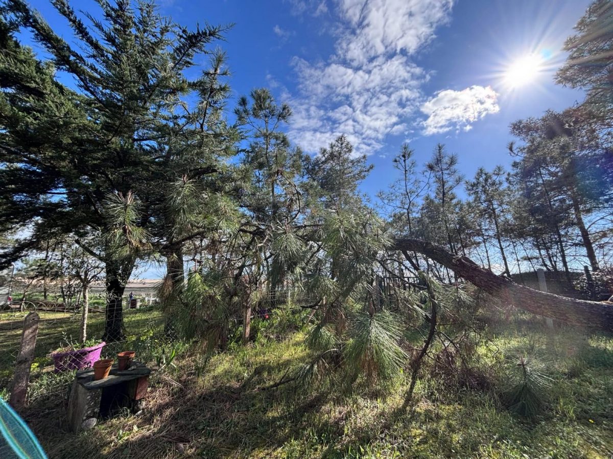 485083853-990802746524064-3430649807841925651-n-ab492aca0a754466af25f63883da8cae