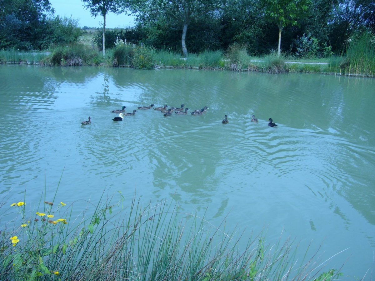 7f0b0698-71cd-4c14-9192-6cc5390eac35