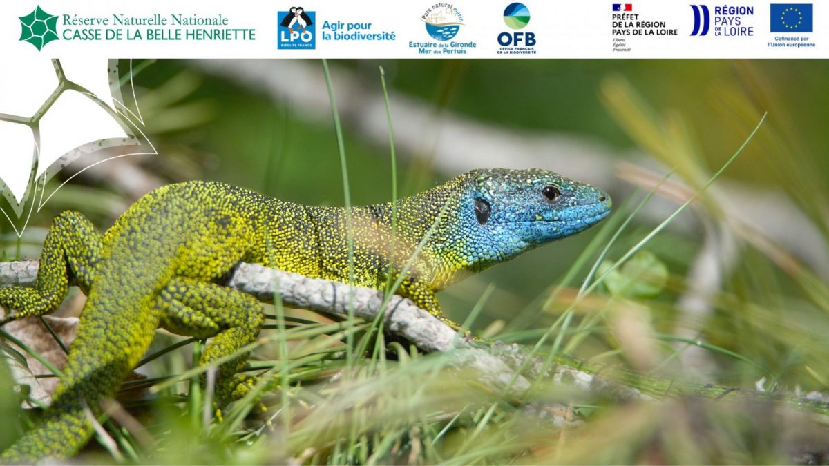 Ajouter un titre – 1