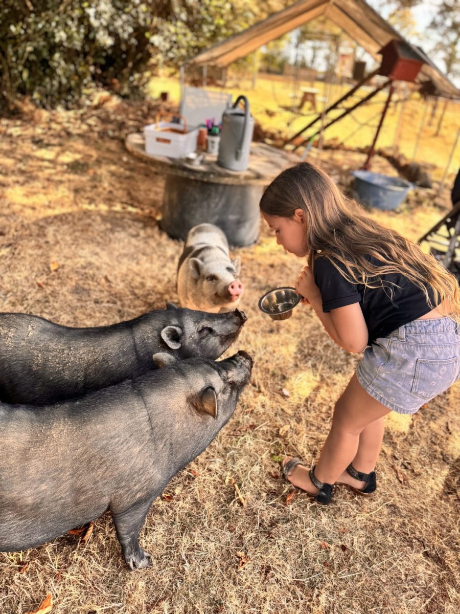 Au coeur de chez vous – Photo 1