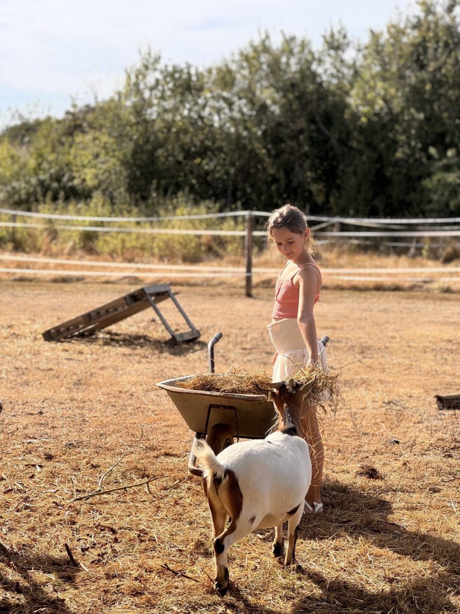 Au coeur de chez vous – Photo 2