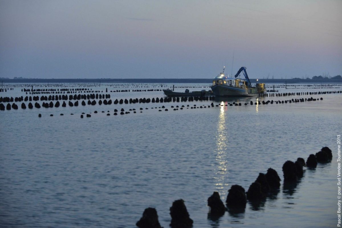 Baie-de-lAiguillon-sur-Mer-88a7211b082c463da160f7ceb2b6aff2