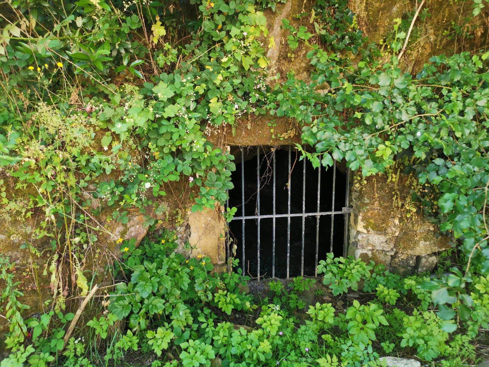 Discovery tour Mareuil-sur-Lay-Dissais