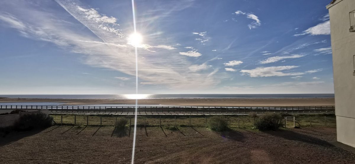 IMG-20250114-151236-164be66992314fc3b99784f109fbaa33