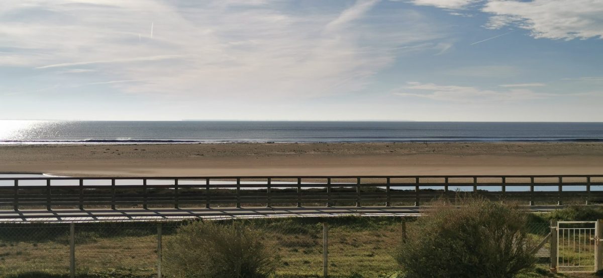 IMG-20250114-151346-41a8d831124e49c486138b39b1055c19