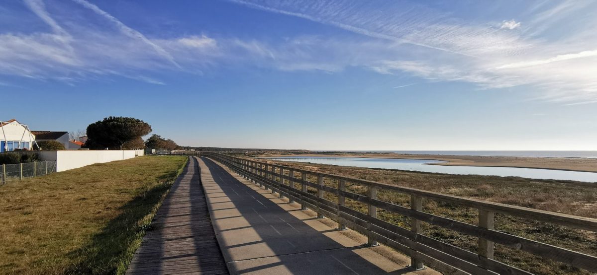 IMG-20250114-153037-5ebfc7e92d324d05863a47440fe59883