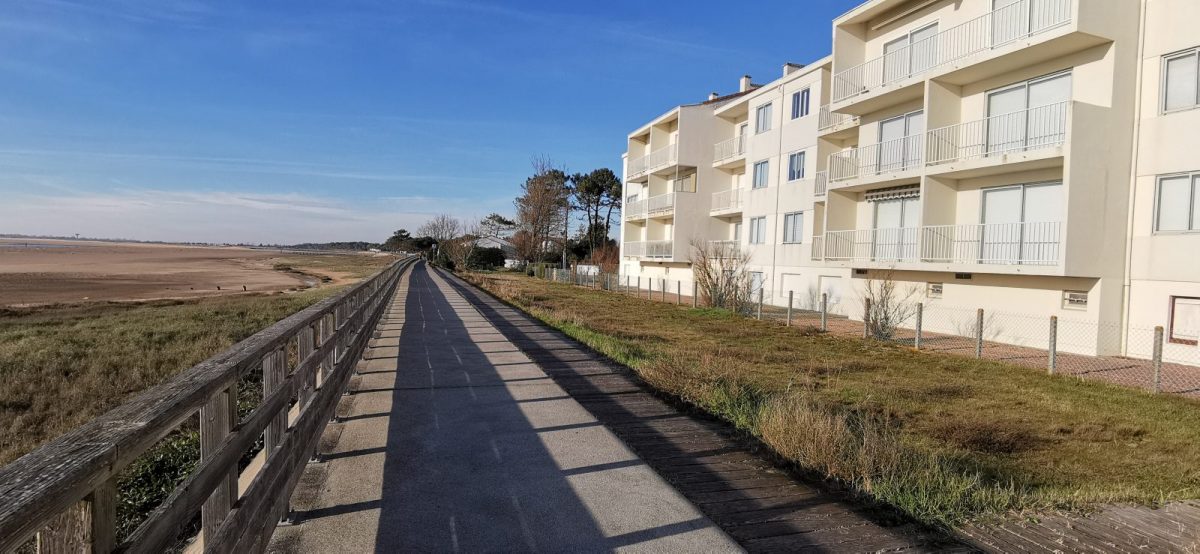 IMG-20250114-153114-5e616cb84cbc40128d14278a4c8e3fb7