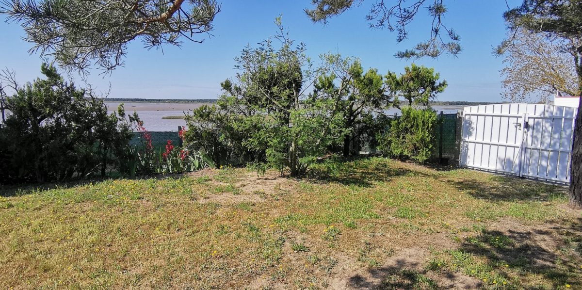 IMG-20250411-120217-29bfaced80ea40ee80aa2104a349ec6f