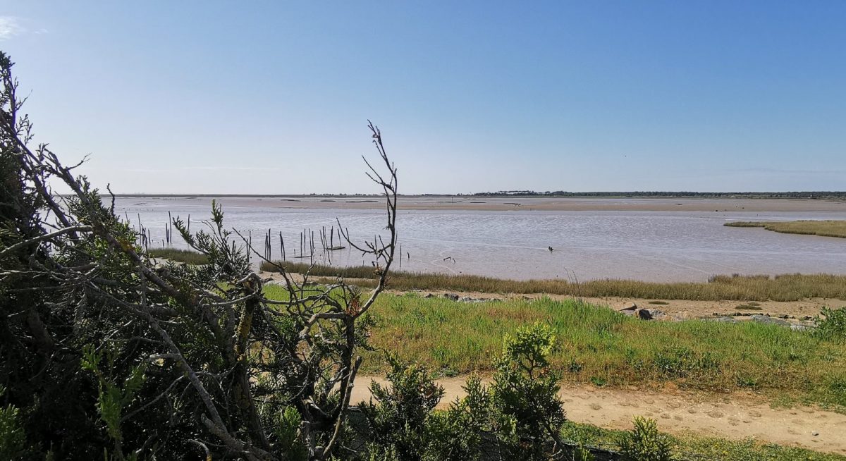 IMG-20250411-120243-b6d3c167e99942afad5614eaf833c9b5