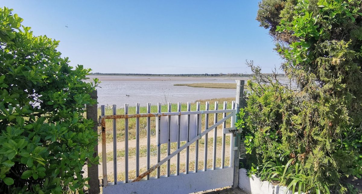 IMG-20250411-120259-fc00e7a6fa9049baaf3874c79d93a7b8