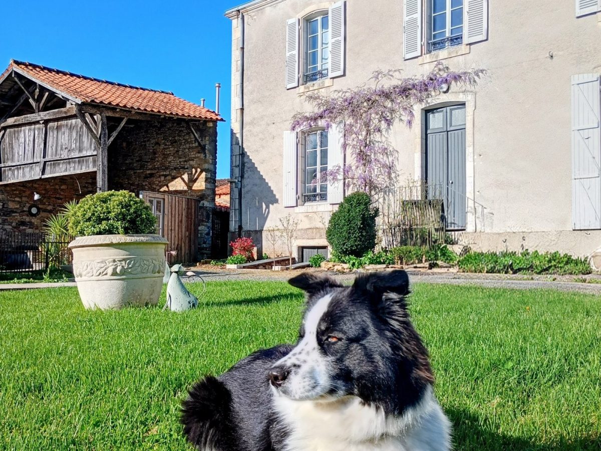 IMG_20260329_101449681_HDR~3