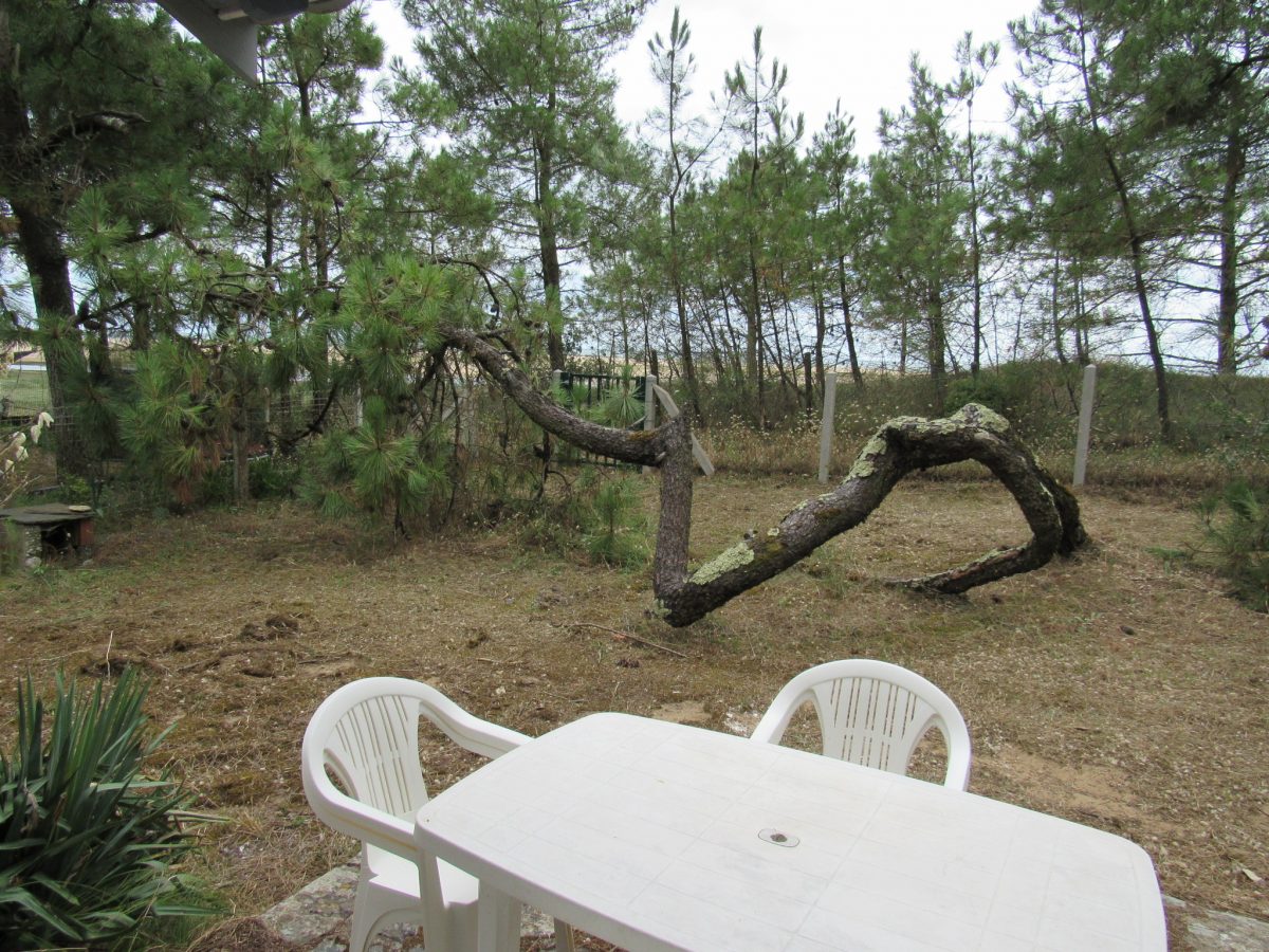 IMG-4122-566a4f85fefb441e9e6f03710bba6a31