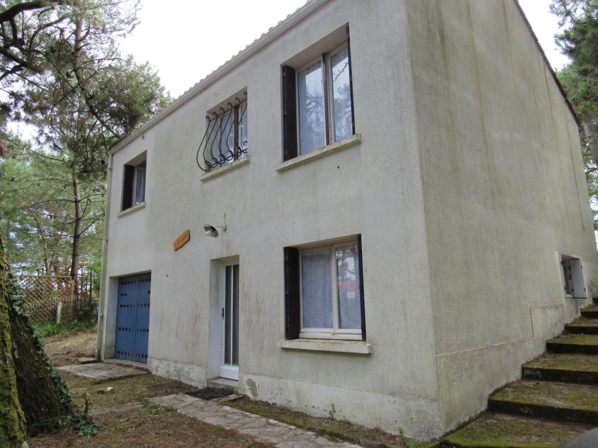 IMG-4129-12ed6ee7b9b4405b89afbe3c948fca98