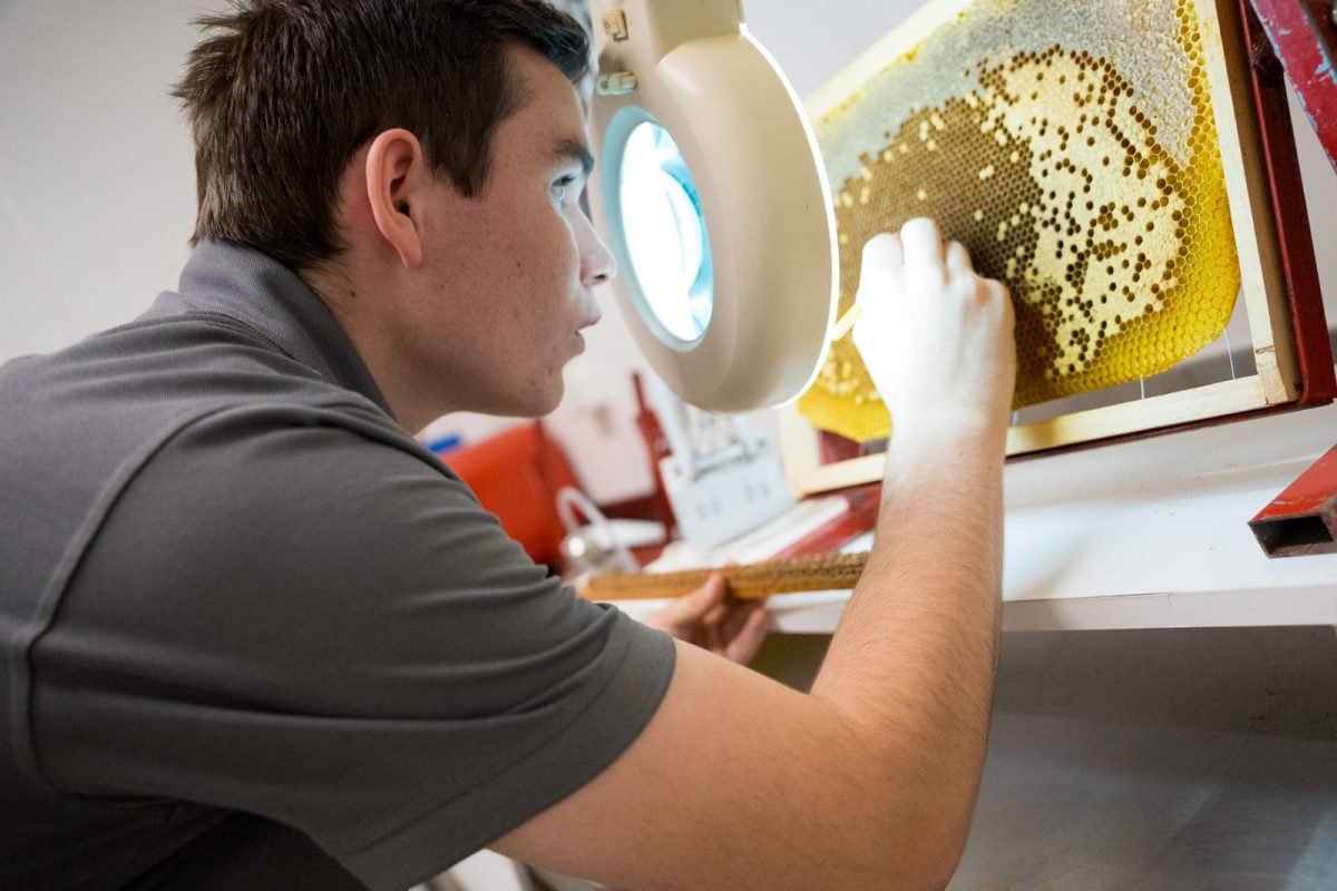 Le Rucher de Bellevue©D.Herbreteau-05714