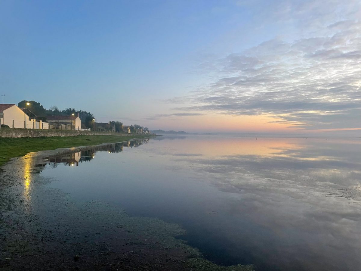 Le-gorgeais-Lairoux-communal-prairie-naturelle-humide-vendee