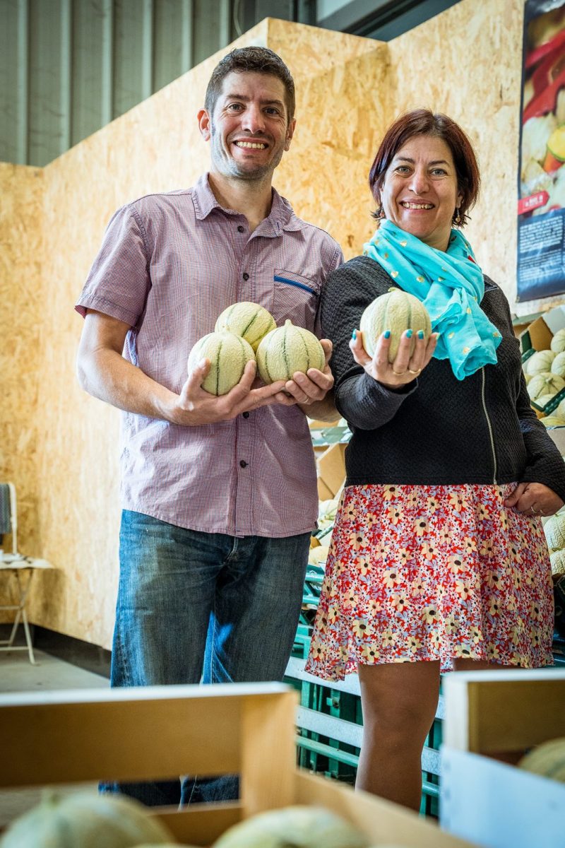 Melons Céleste©D.Herbreteau-02600