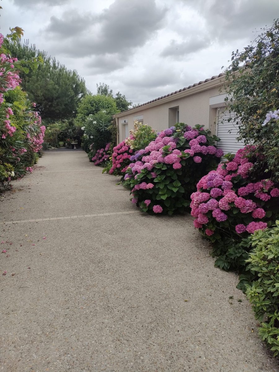 Meublé Marine_Luçon_Jardin (4)