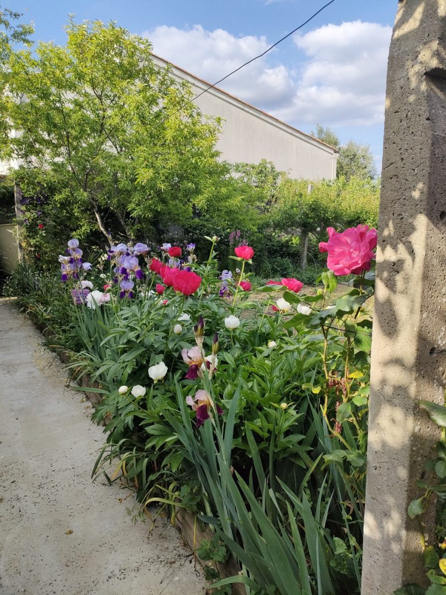 Meublé Marine_Luçon_Jardin (7)