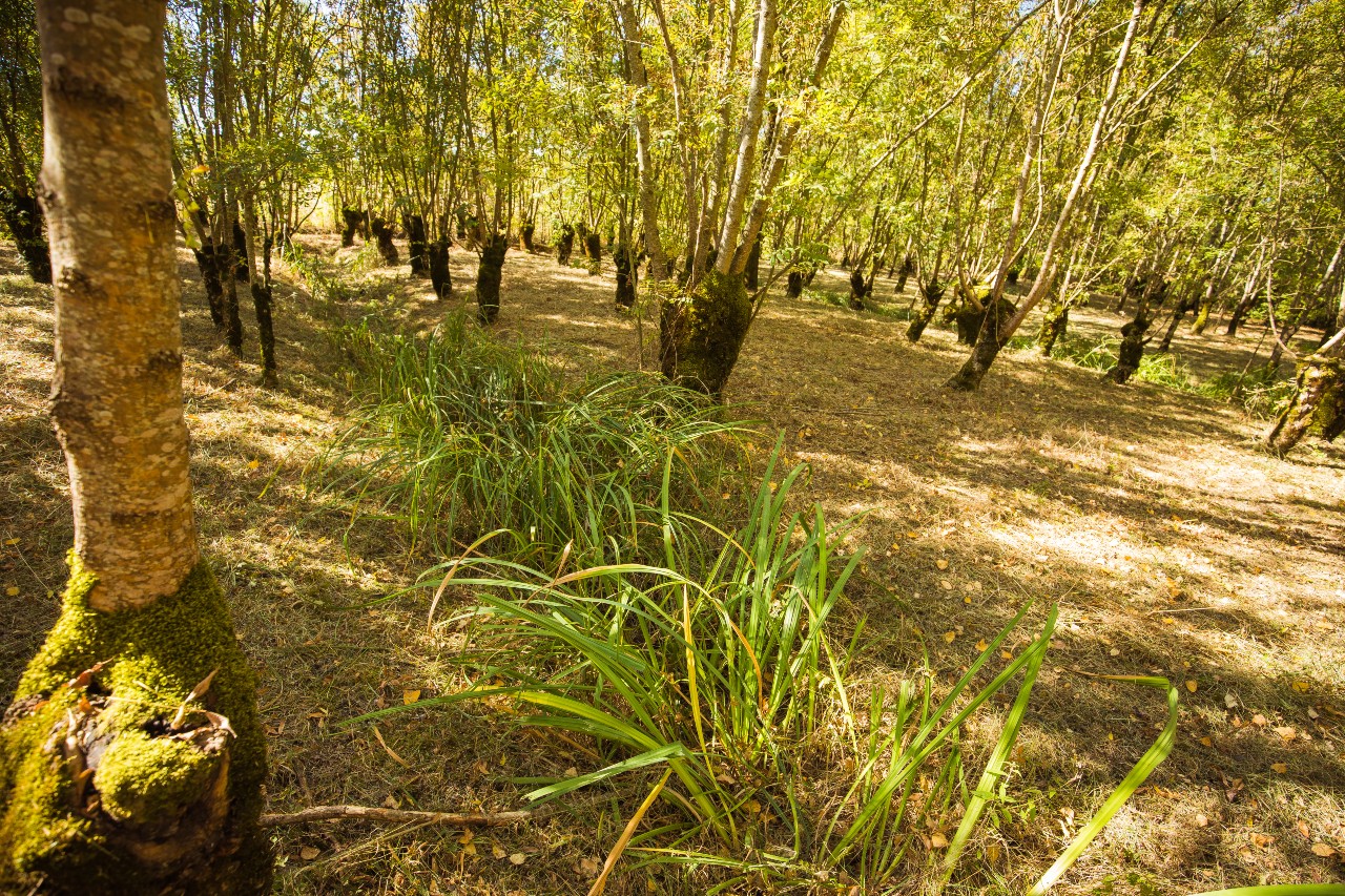 Walking trail Autour de la Douve