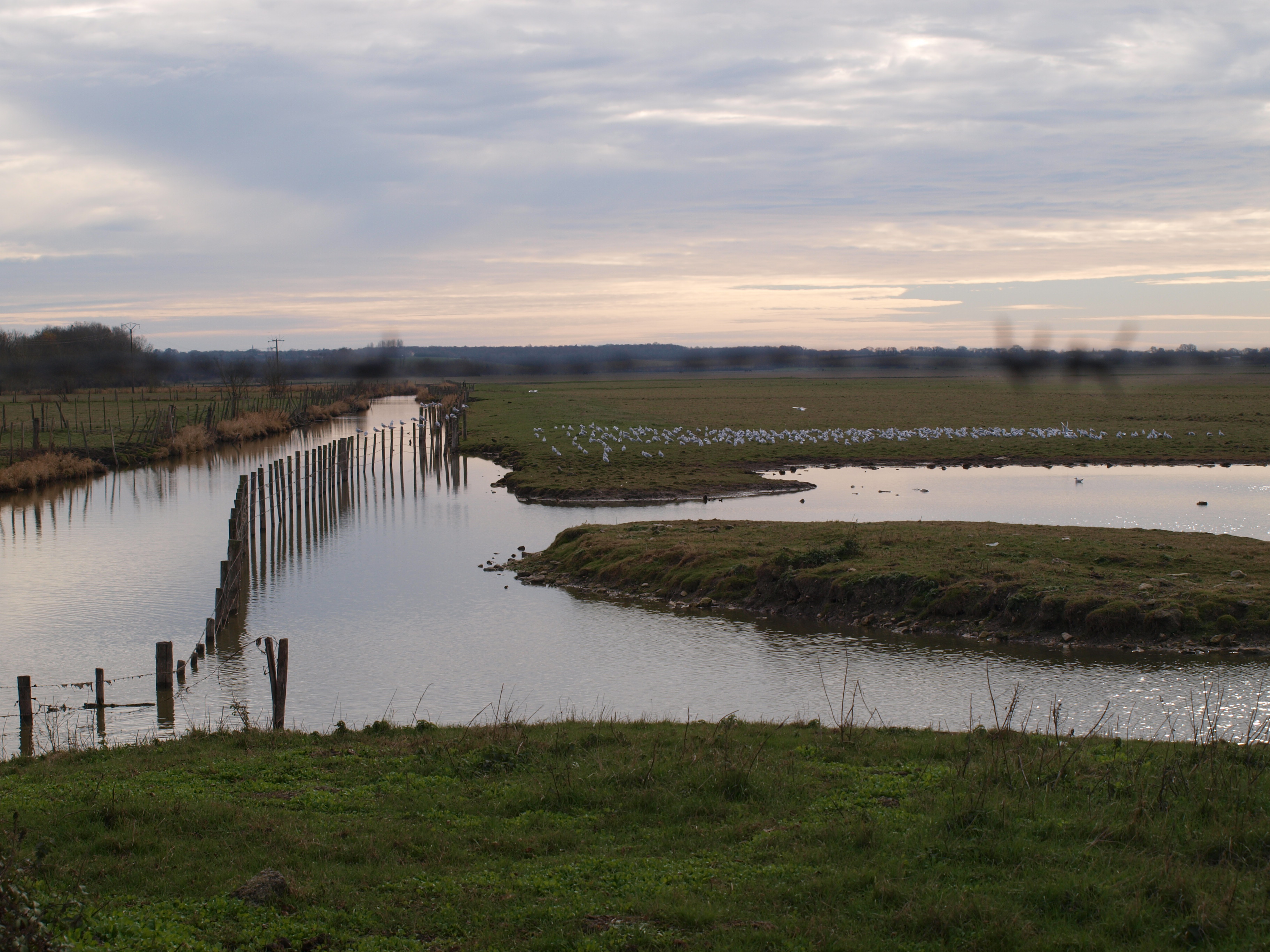 Walking trail Les Ardillers