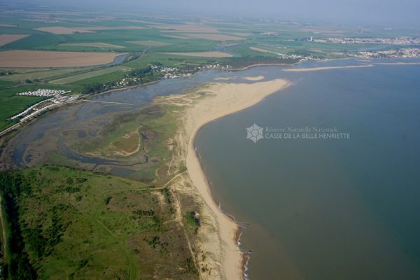 The National Nature Reserve of La Casse de la Belle Henriette