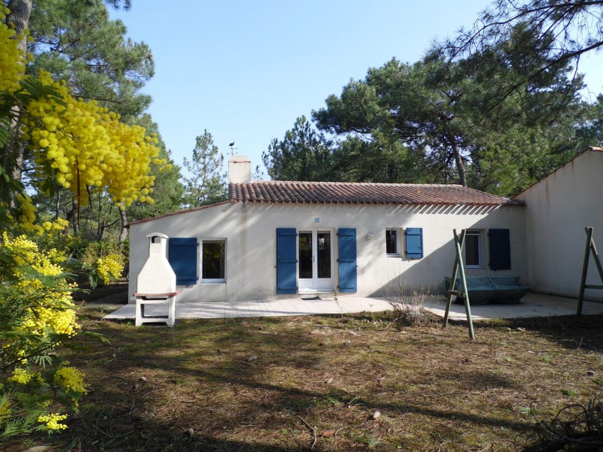 SAM-0015-1b283799d6304d48a710068742eb0027