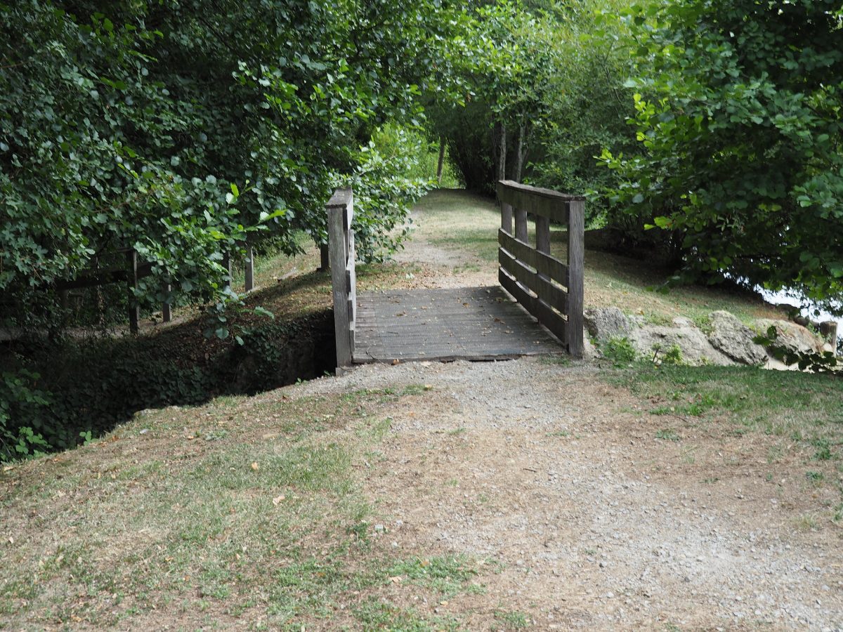 Saint-Martin-Lars-en-Sainte-Hermine (6)