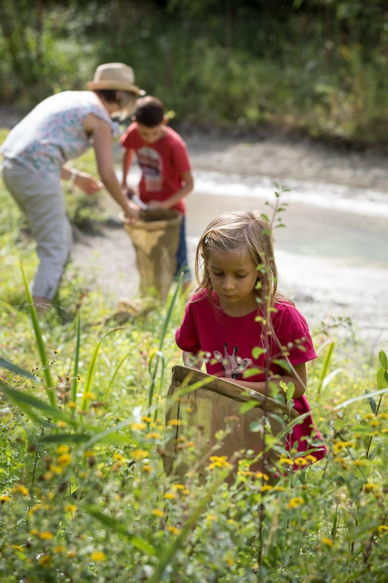 Sortie nature – Petites bêtes des hautes herbes – D.FUGERE