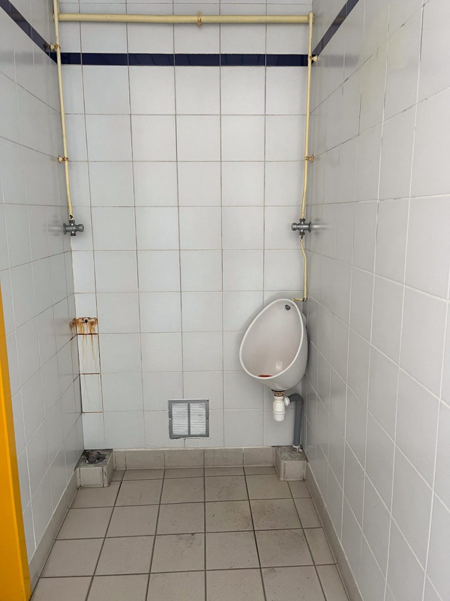 Toilettes publiques marché l’Aiguillon-sur-Mer (6)