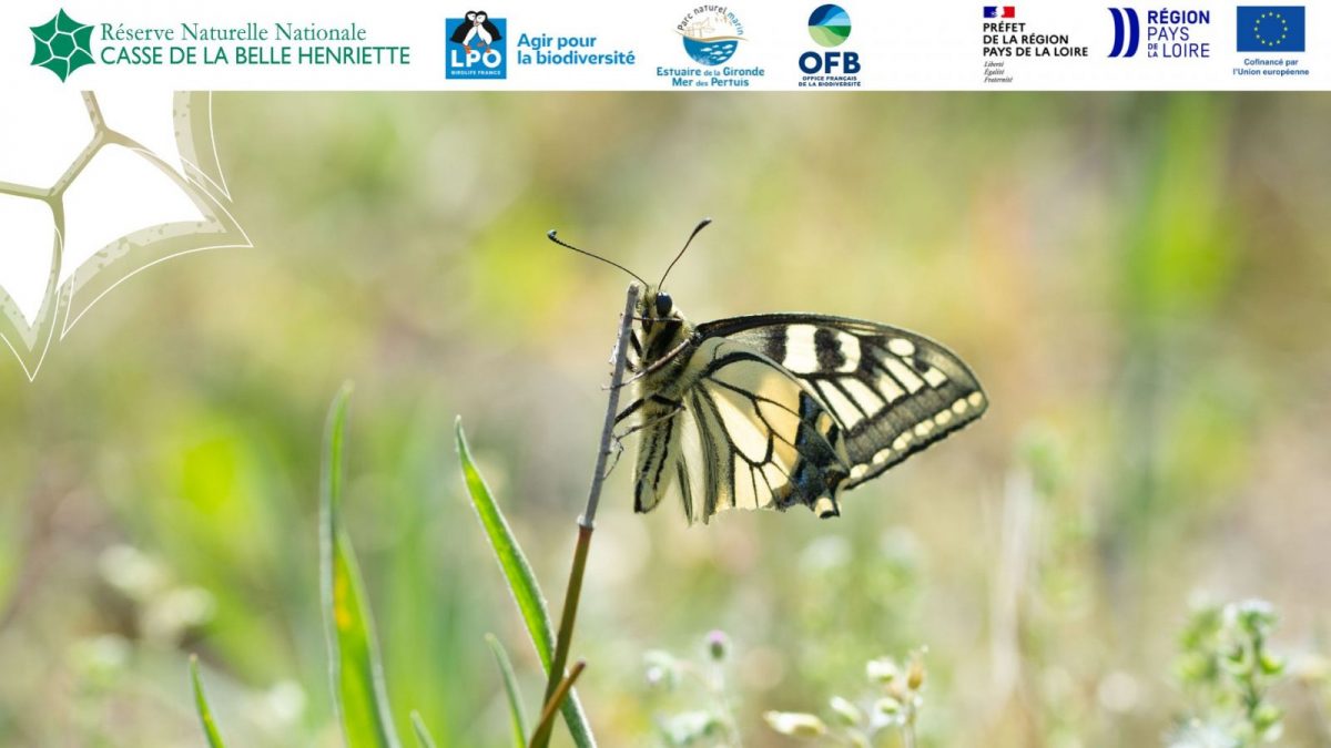 Ajouter un titre – 1