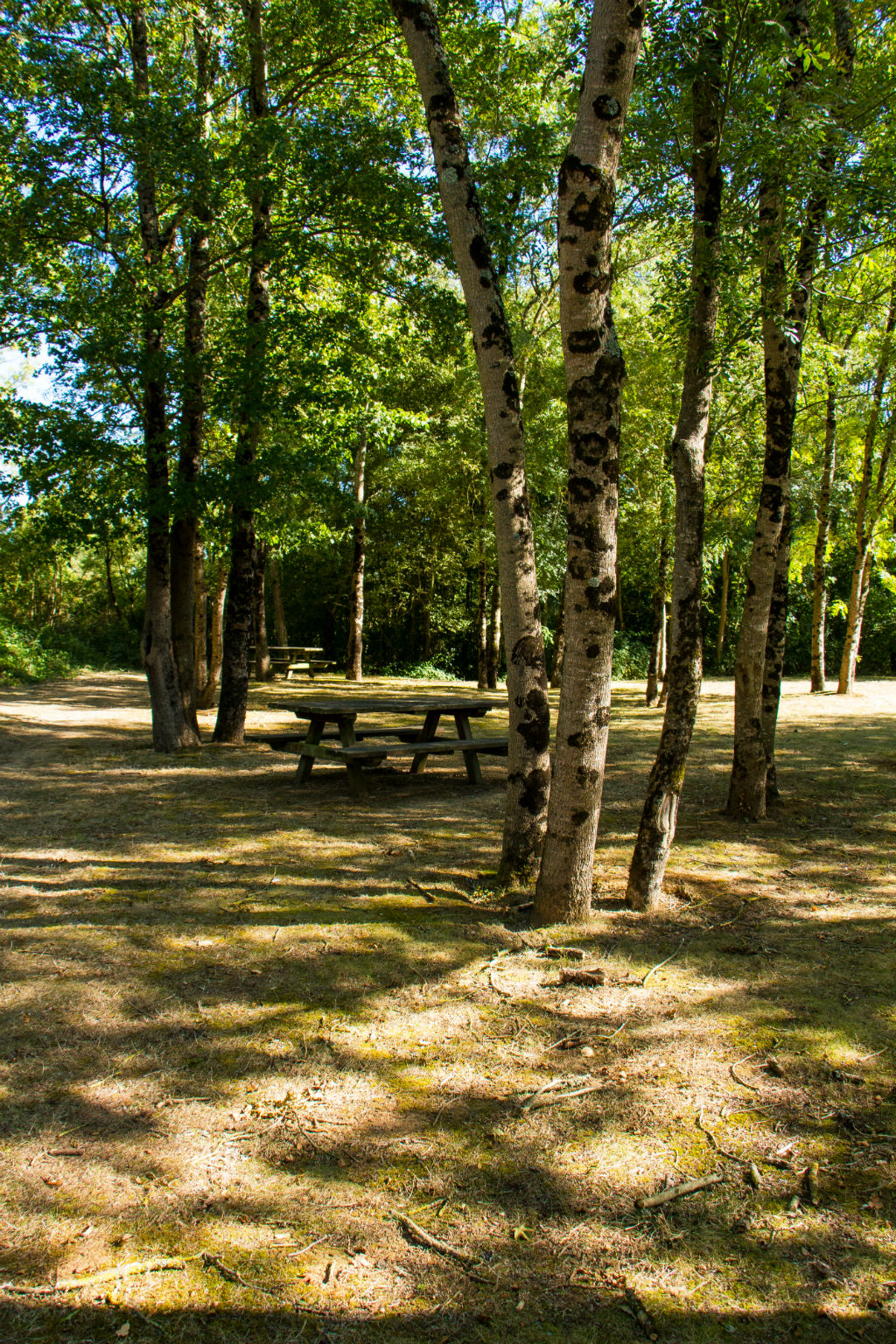 Walking trail Les Chênes