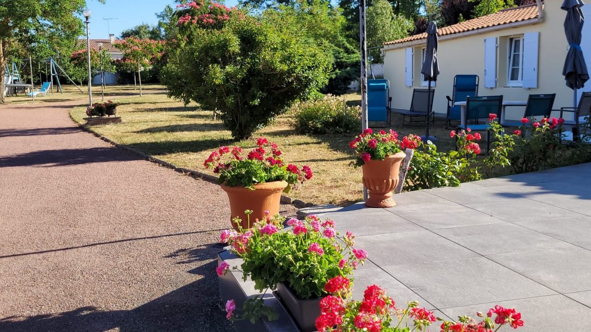 d1bdff37-c217-4c8d-8e1d-f93ca21c23f7