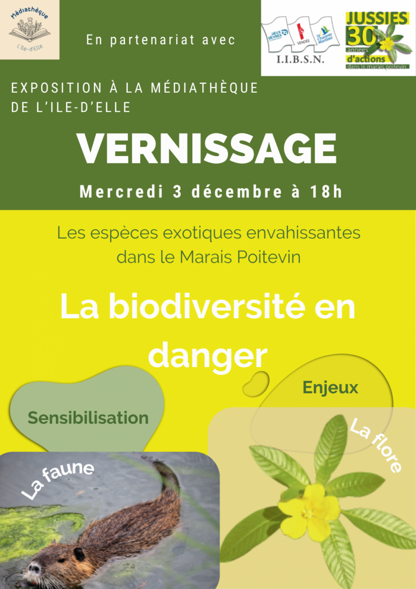 Affiche heure du conte – exposition 12/25 vernissage