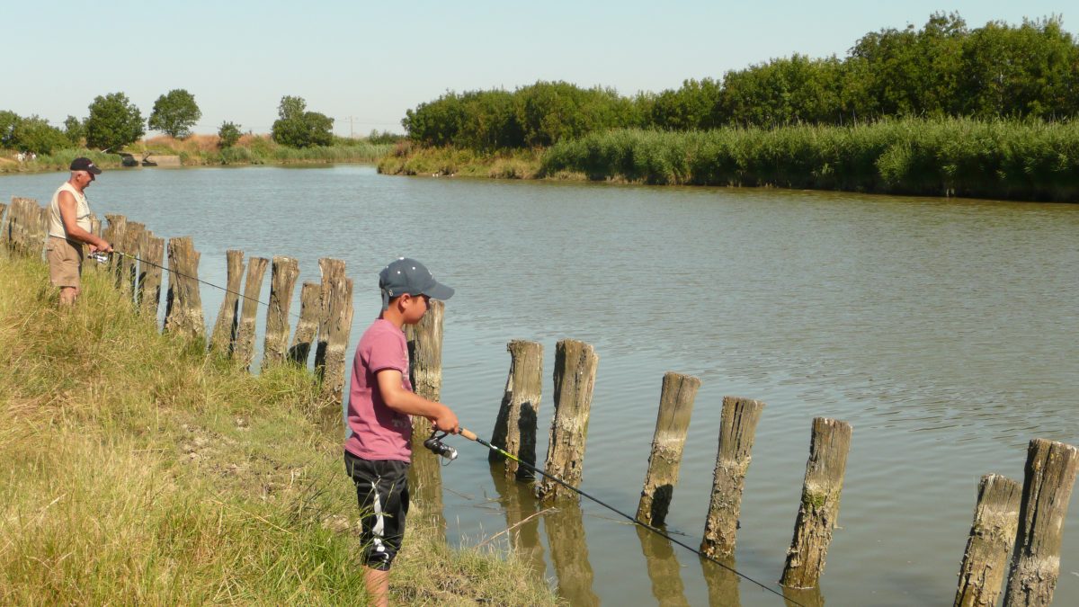 pêche au mulet