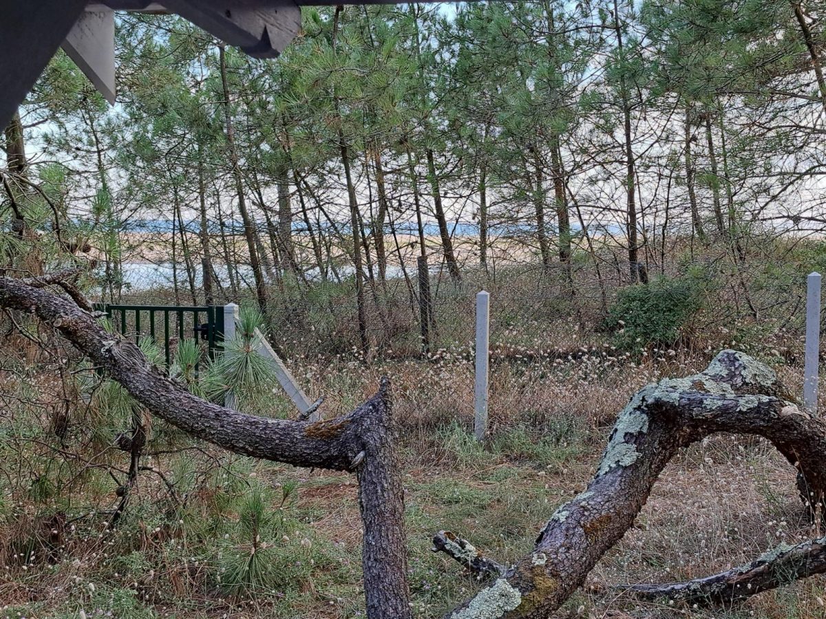 photo-20vue-20sur-20ocean-72355a675e0d42a4a86d734f2b84831a